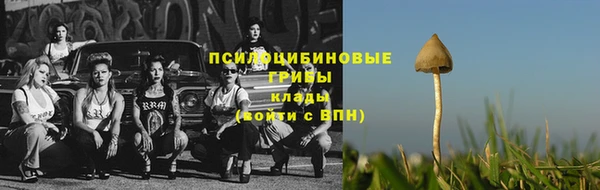 альфа пвп Новозыбков