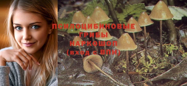 дурь Новокубанск