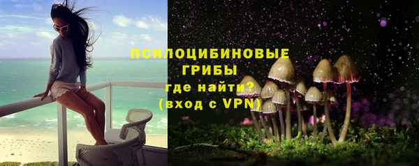 дурь Новокубанск