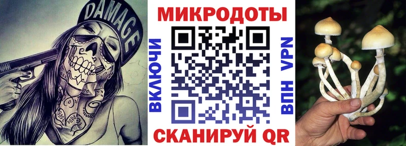 Псилоцибиновые грибы GOLDEN TEACHER  Барнаул 
