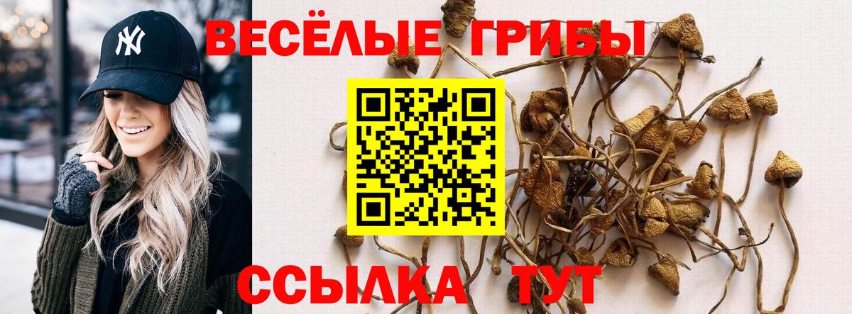 Галлюциногенные грибы GOLDEN TEACHER Барнаул